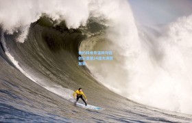 德约科维奇温网夺冠 创纪录第24座大满贯加冕